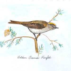 GICLEE PRINT AVAILABLE NOW from original artwork